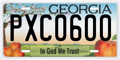 GA license plate PXC0600