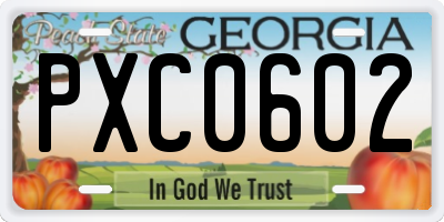 GA license plate PXC0602