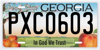 GA license plate PXC0603