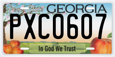 GA license plate PXC0607