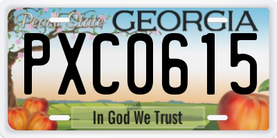 GA license plate PXC0615