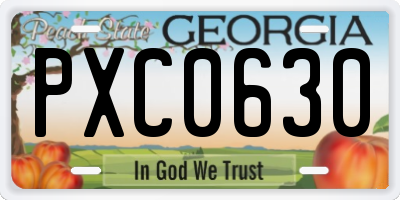 GA license plate PXC0630