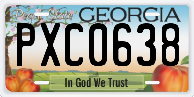 GA license plate PXC0638