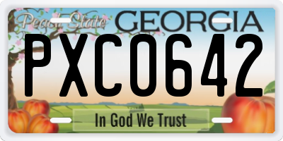 GA license plate PXC0642