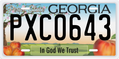 GA license plate PXC0643