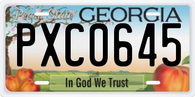 GA license plate PXC0645