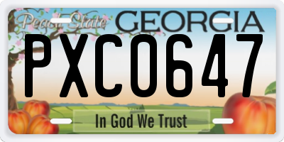 GA license plate PXC0647