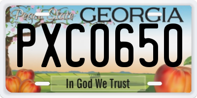 GA license plate PXC0650