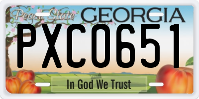 GA license plate PXC0651