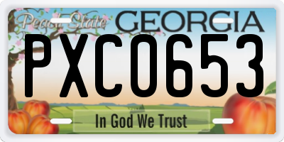GA license plate PXC0653