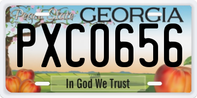 GA license plate PXC0656