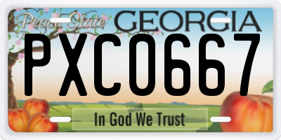 GA license plate PXC0667