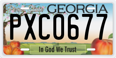 GA license plate PXC0677
