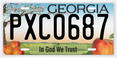 GA license plate PXC0687