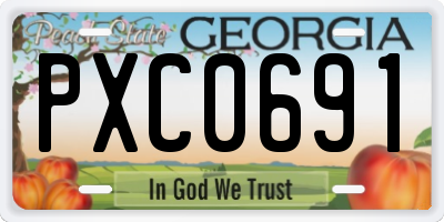 GA license plate PXC0691