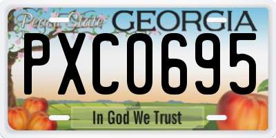 GA license plate PXC0695