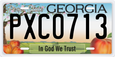 GA license plate PXC0713
