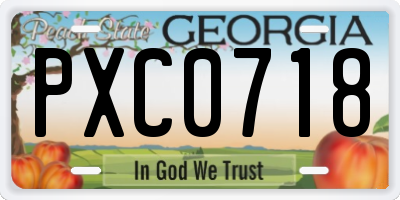 GA license plate PXC0718