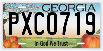 GA license plate PXC0719