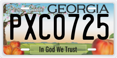 GA license plate PXC0725