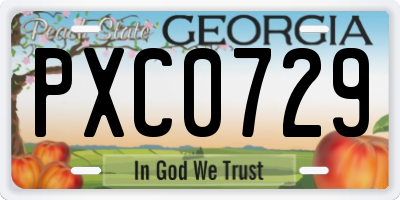 GA license plate PXC0729