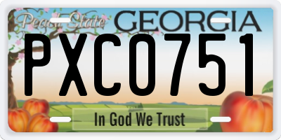 GA license plate PXC0751