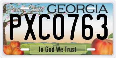 GA license plate PXC0763