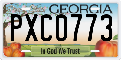 GA license plate PXC0773