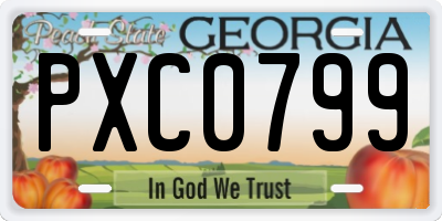 GA license plate PXC0799