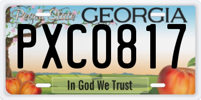 GA license plate PXC0817