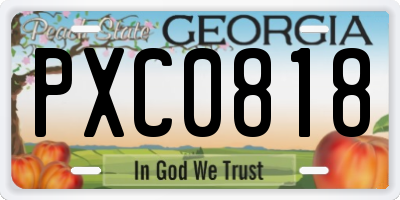 GA license plate PXC0818