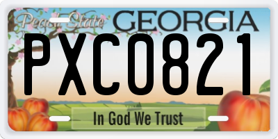 GA license plate PXC0821
