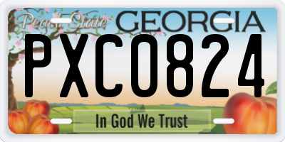 GA license plate PXC0824