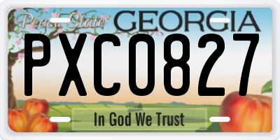 GA license plate PXC0827