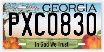 GA license plate PXC0830