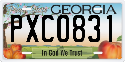 GA license plate PXC0831