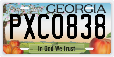 GA license plate PXC0838