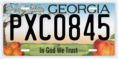 GA license plate PXC0845
