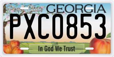 GA license plate PXC0853
