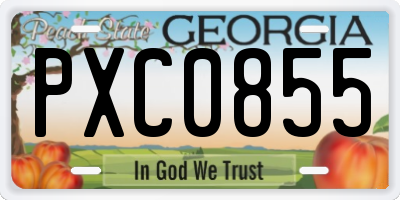 GA license plate PXC0855