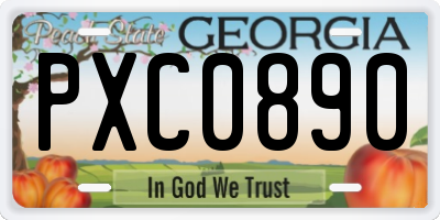 GA license plate PXC0890