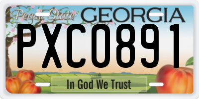 GA license plate PXC0891