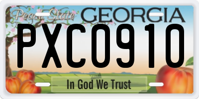 GA license plate PXC0910