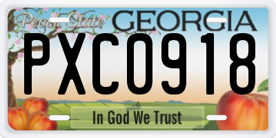 GA license plate PXC0918