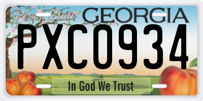 GA license plate PXC0934