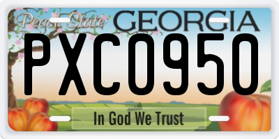 GA license plate PXC0950
