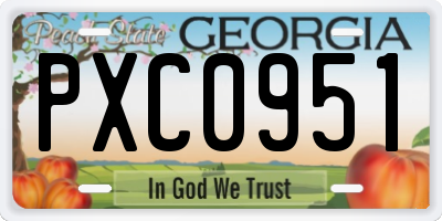 GA license plate PXC0951