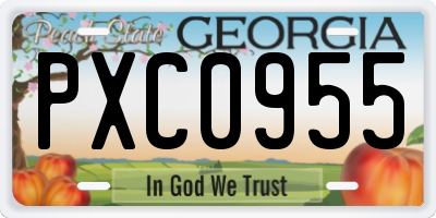 GA license plate PXC0955