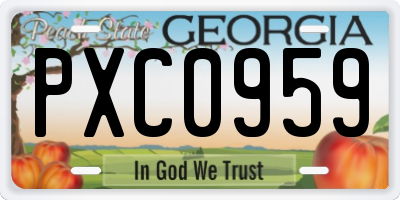 GA license plate PXC0959