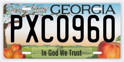 GA license plate PXC0960